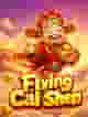 Flying Cai Shen