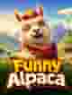 Funny Alpaca