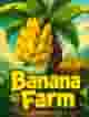 Banana Farm
