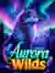 Aurora Wilds
