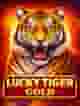 Lucky Tiger Gold