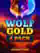 Wolf Gold 4 Pack