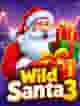 Wild Santa 3